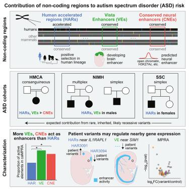 Nate Warren, photo 1