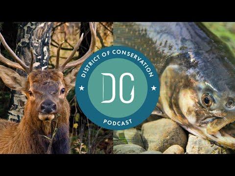 Samuel Ayres, photo 2