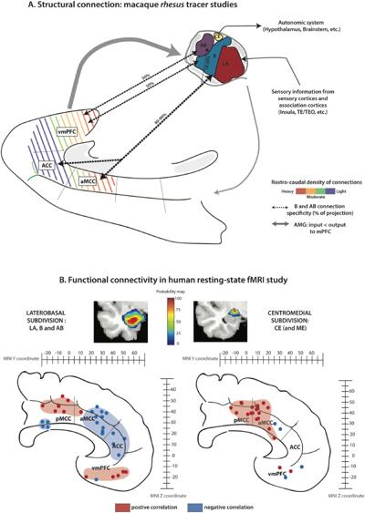 Felix Elvira, photo 1