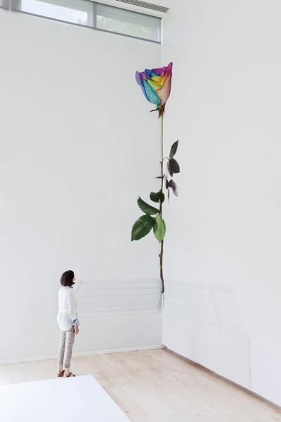 Bruce Smith, photo 2