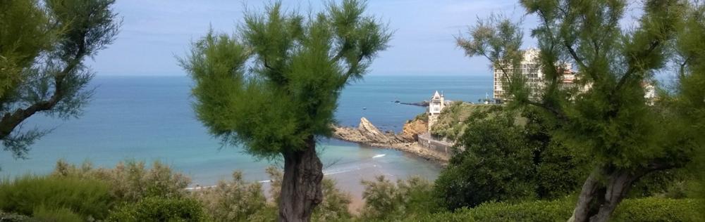 Daniel Iribarren, photo 2