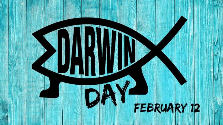 Patrizia Waldmann, photo 2