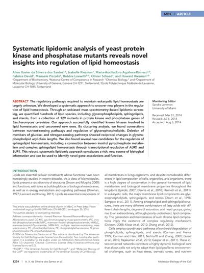 Aline Roelants, photo 1