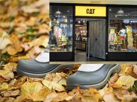 Matt Sterling, photo 2