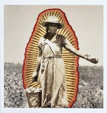 Robin McCarthy, photo 2