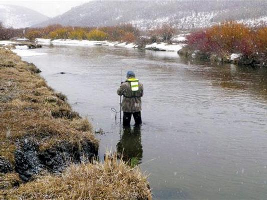 Chris Mebane, photo 2