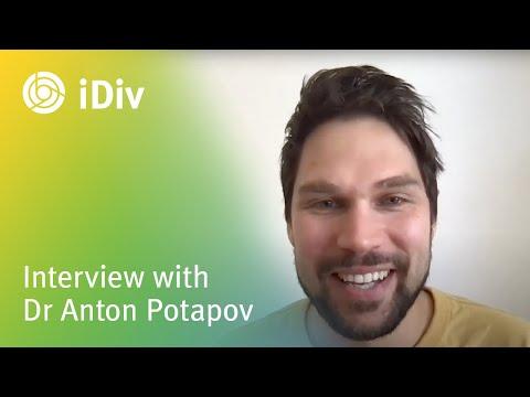 Anton Potapov, photo 1