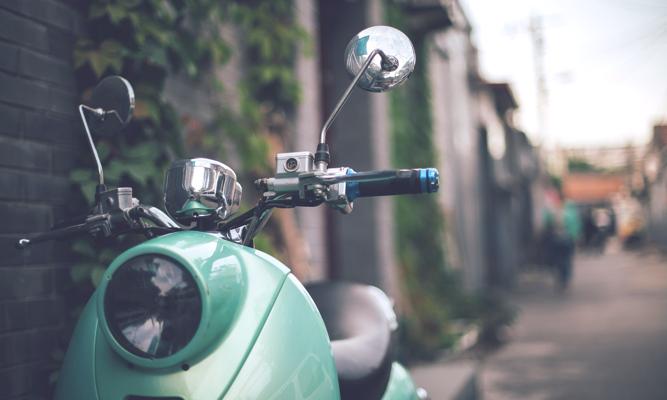 Heidi Segal, photo 1