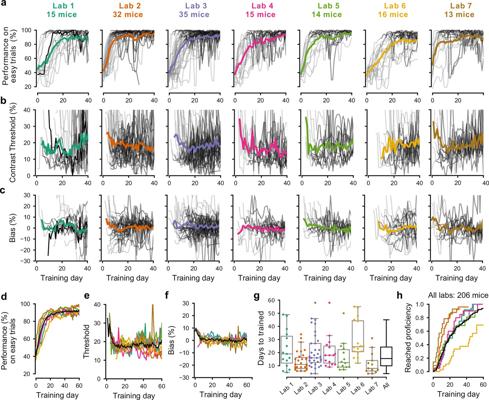 Charu Reddy, photo 2