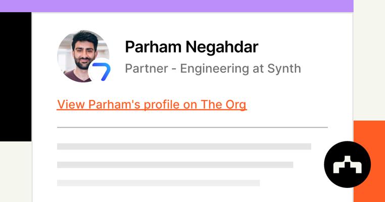 Parham Negahdar, photo 2