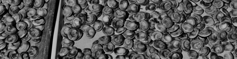 Agathe Desmier, photo 2