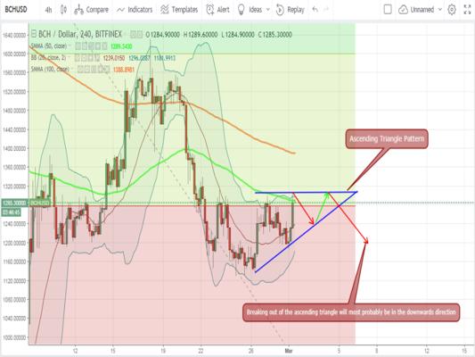 Tamer Sameeh, photo 2