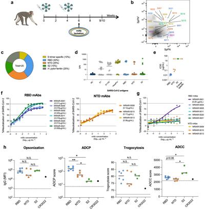 Michelle Hannah, photo 2