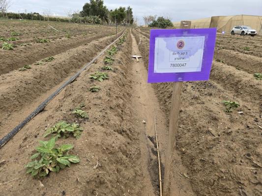 Alejandro Abalos, photo 1