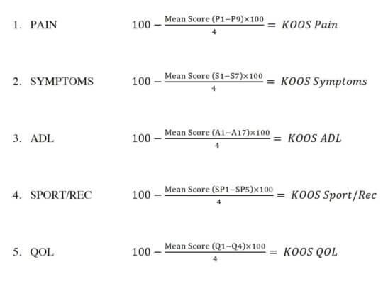 Koos Westhoff, photo 2