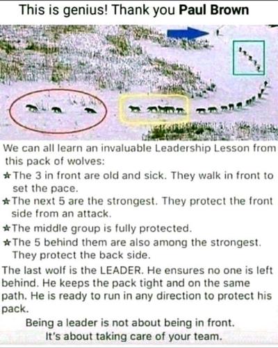 Pradip Rupakheti, photo 2