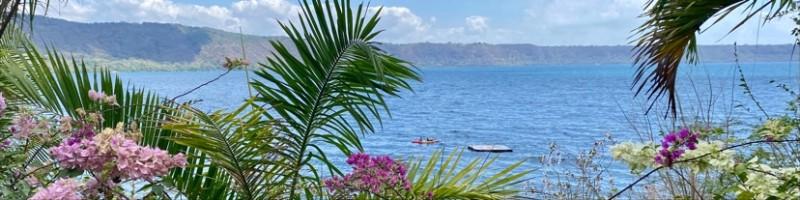 Miranda Miller, photo 2