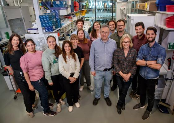 Grant Chang, photo 1