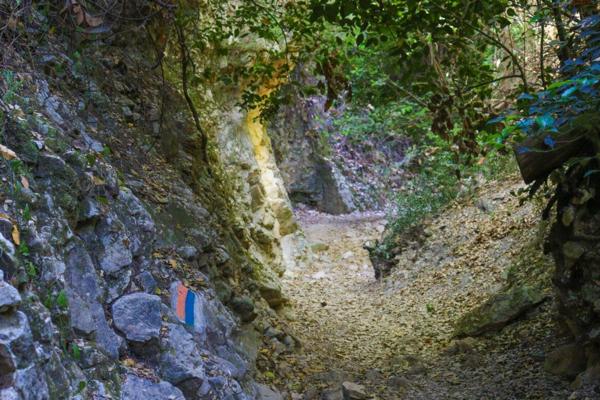 Carmel Alon, photo 1