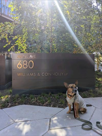 Danielle Barondess, photo 2