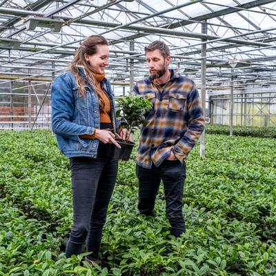 Johan Jansen, photo 2