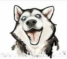 fergus tran avatar image